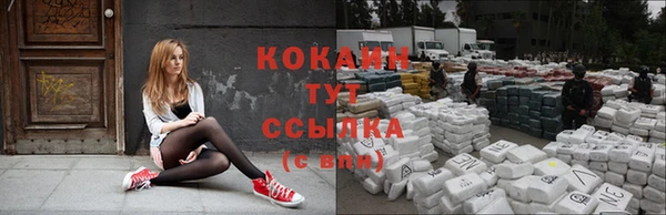 jwh Коряжма
